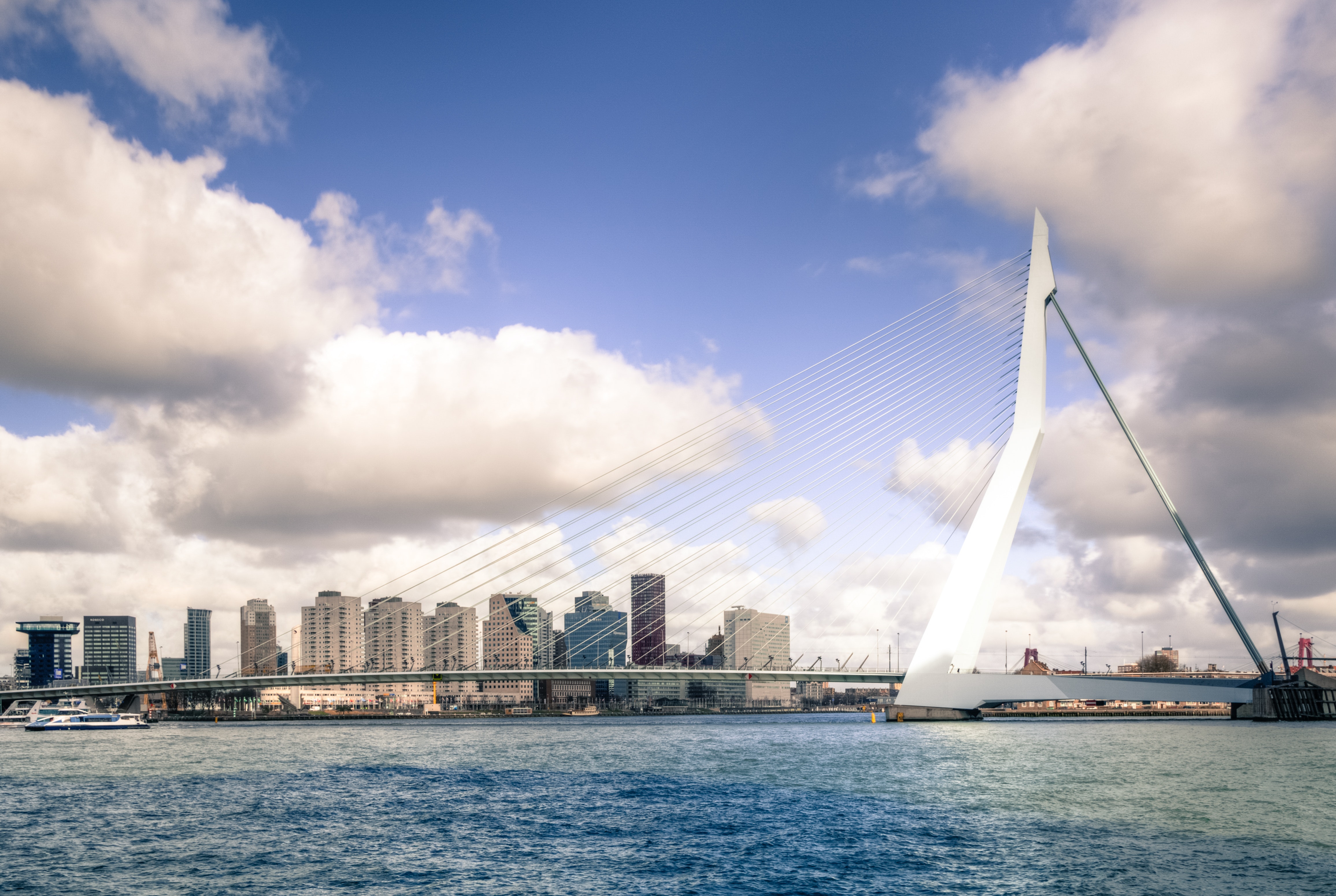 3 Dingen Die U Moet Regelen Voor Uw Beursstand In Rotterdam